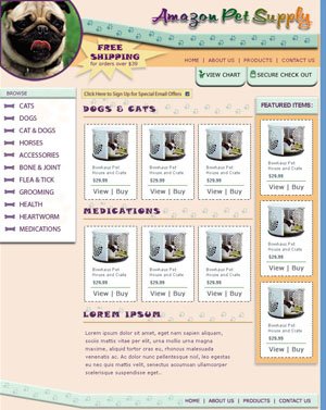 2005 Web Demo 2